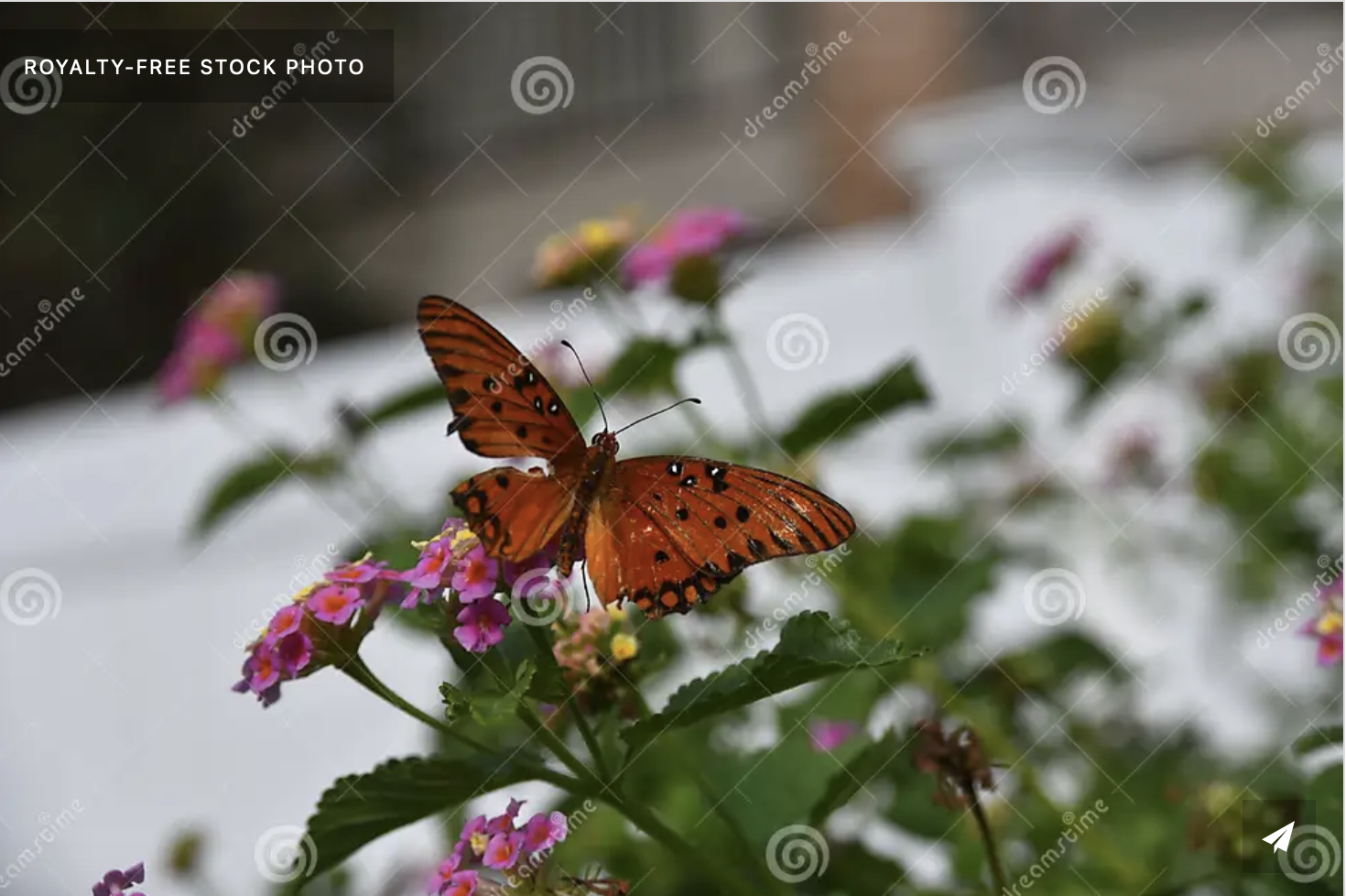 Screenshot 2023-10-09 at 10.29.33 AM